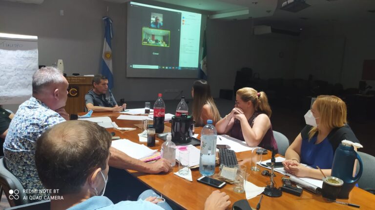 Reunión con participación de los colegas
