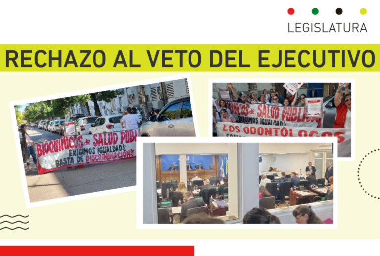 Es ley: diputados rechaza el veto del Ejecutivo