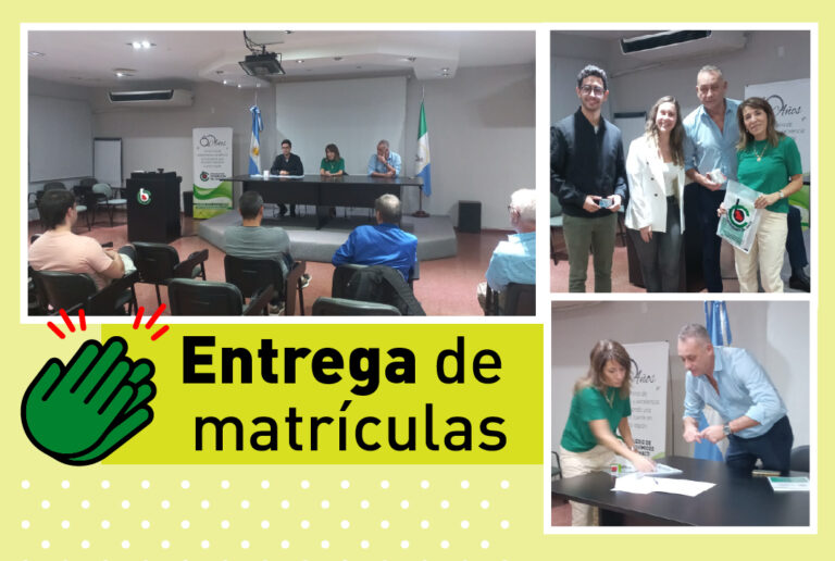 Entrega de matrículas